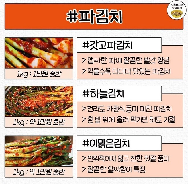 맛있다고 소문난 사먹는 김치추천 - DPrime