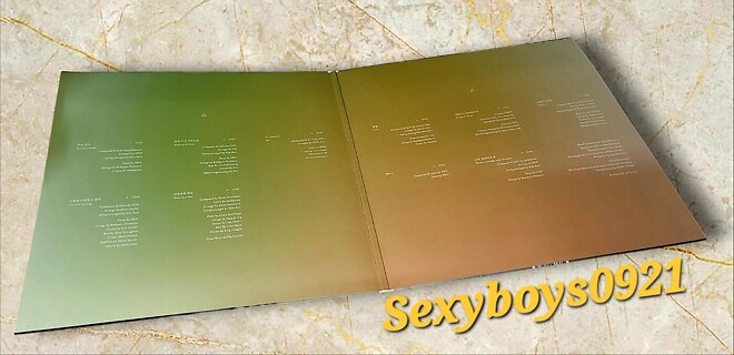 박지윤 10집 컬러 한정 바이닐 엘피.jpg