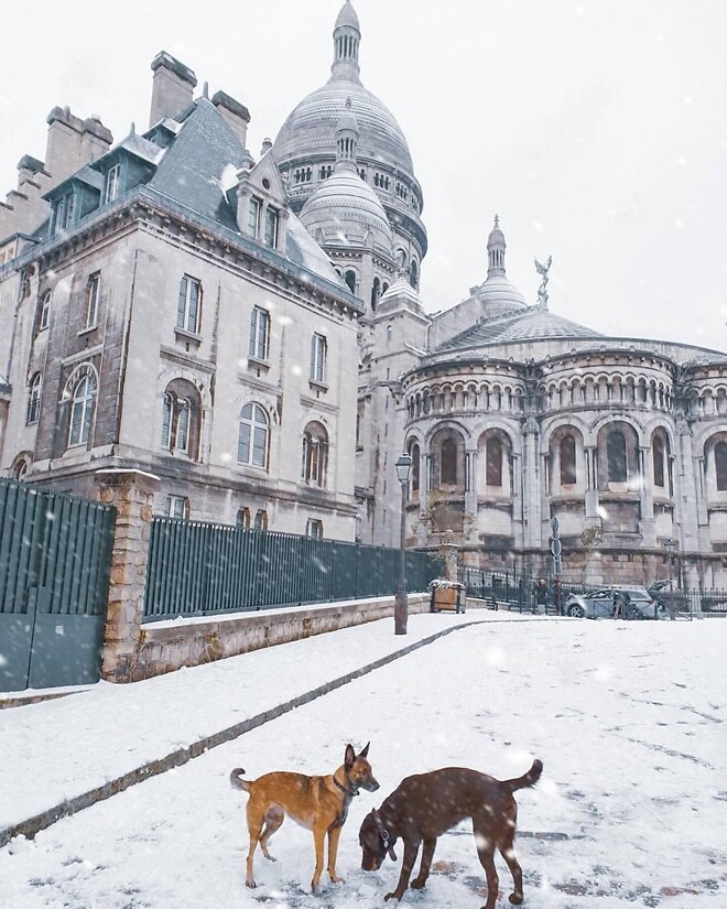 파리에 내린 첫눈