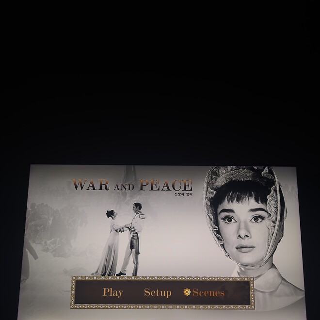 전쟁과 평화 구동해봤습니다