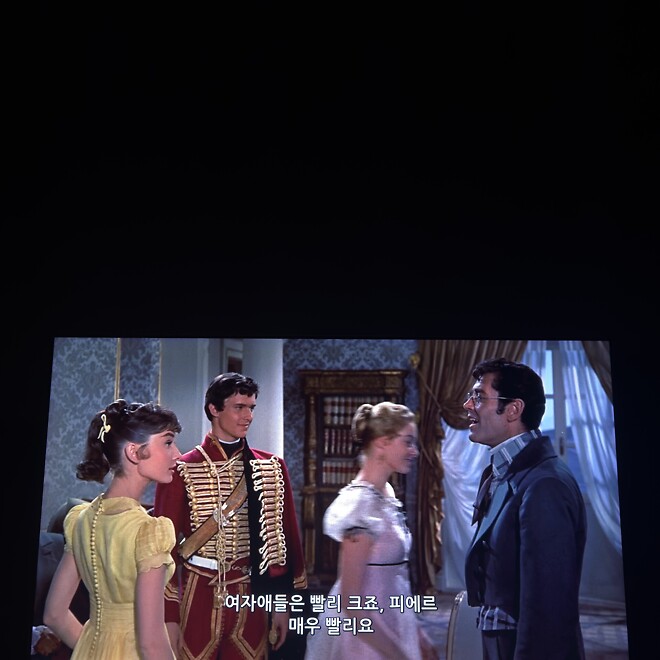 전쟁과 평화 구동해봤습니다