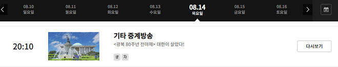 &amp;lt;광복 80주년 전야제&amp;gt; 대한이 살았다! 방송시간