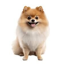 2025년 유럽 최고의 숨겨진 보석 같은 여행지 Part 2