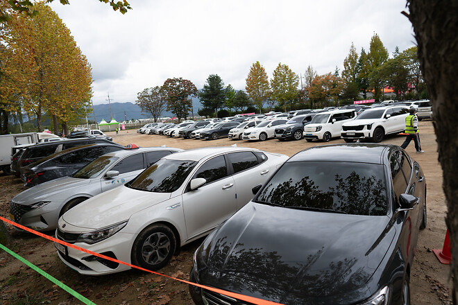 가을에 가볼만한 곳, 철원 고석정 꽃밭