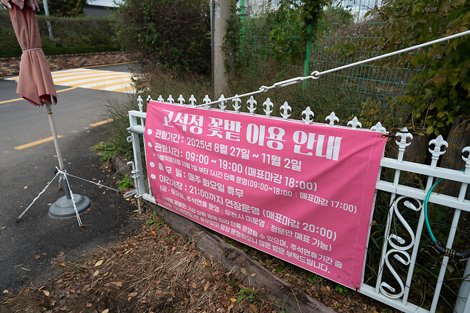 가을에 가볼만한 곳, 철원 고석정 꽃밭