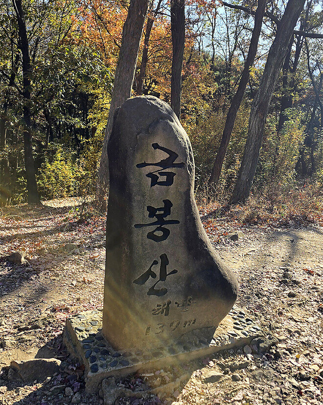 두류공원 걷기 런