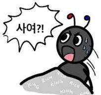 마그네타, 마침내 고급형 신제품 블루레이 플레이어 UDP900MKII, UDP800MKII 판매 시작