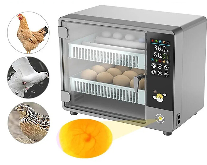 고오급 달걀을 사보았습니다