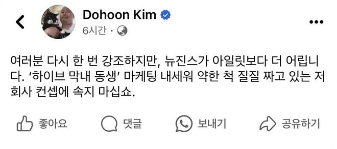 뉴진스를 사랑하는 평론가의 호소