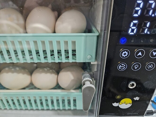 계란 난각 번호 1번. 맛이 다른가요??