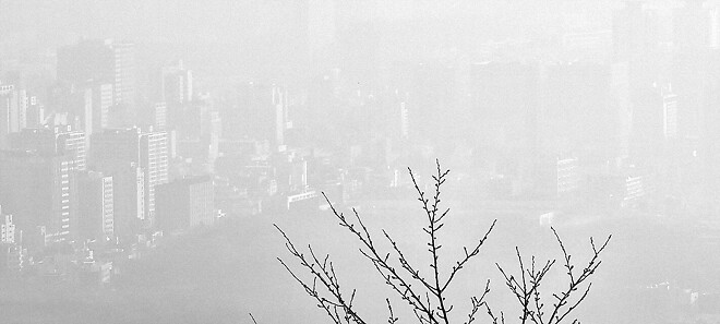 오늘자 팔각정과 서울 하늘.jpg