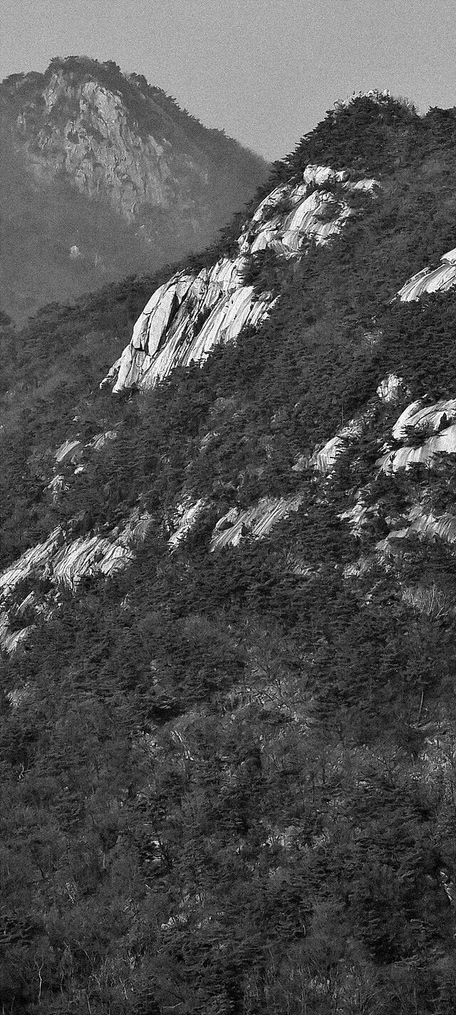 오늘자 팔각정과 서울 하늘.jpg