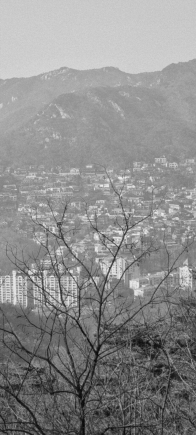 오늘자 팔각정과 서울 하늘.jpg