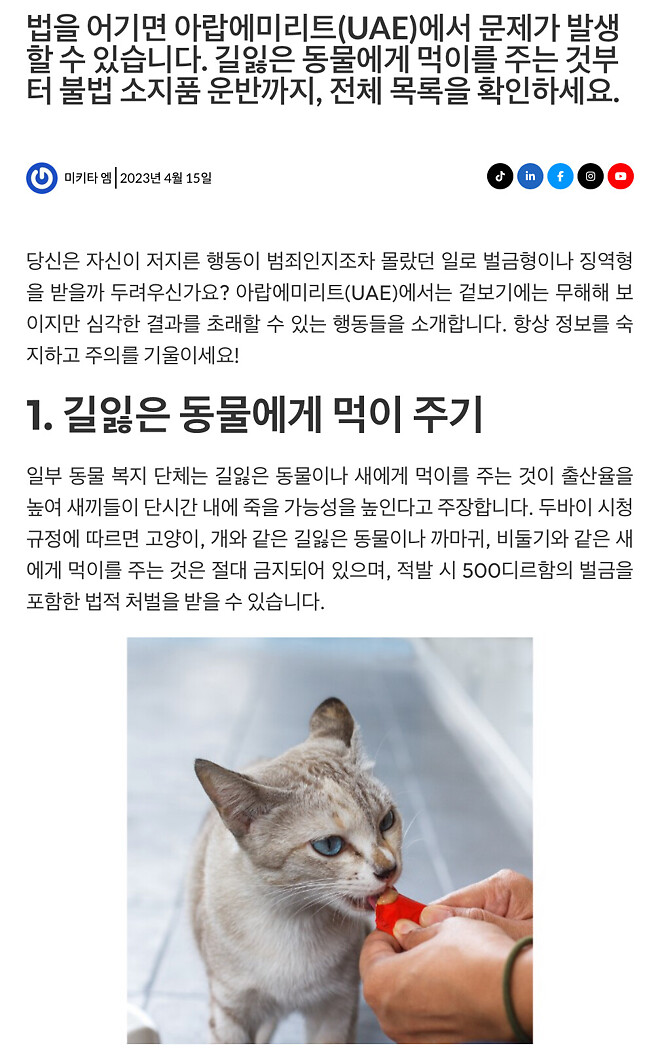 종로구, 길고양이 겨울집 100개 제작? 두쫀쿠 유행인데 두xx도 좀..