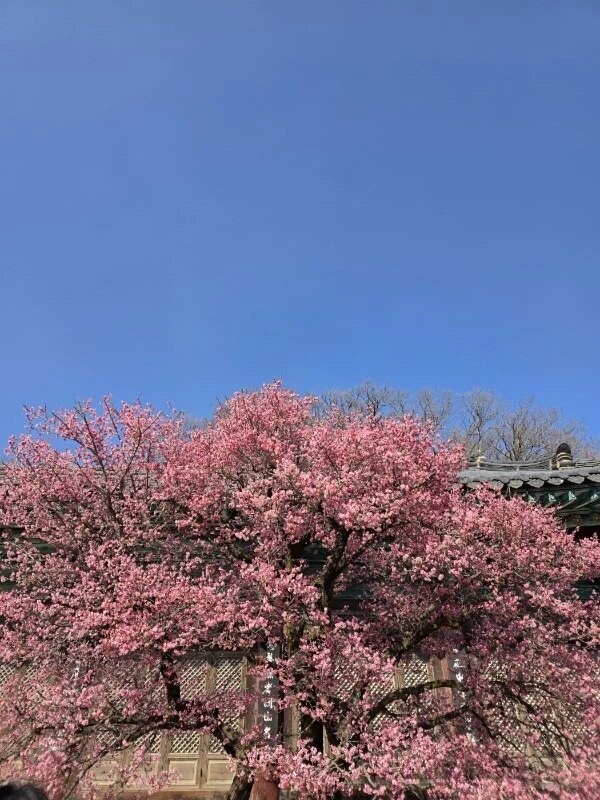 놀러가는 부지런한 윗쪽 사람들