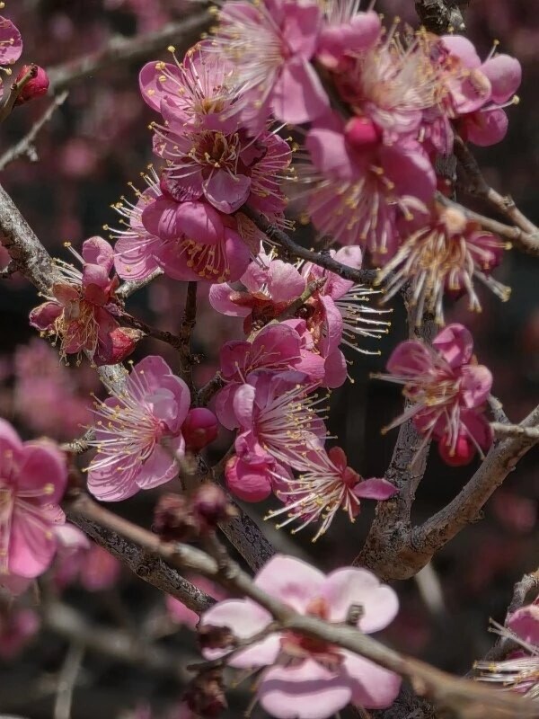 놀러가는 부지런한 윗쪽 사람들