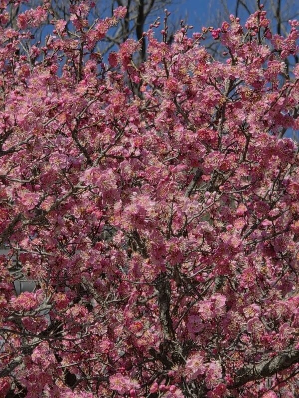 놀러가는 부지런한 윗쪽 사람들