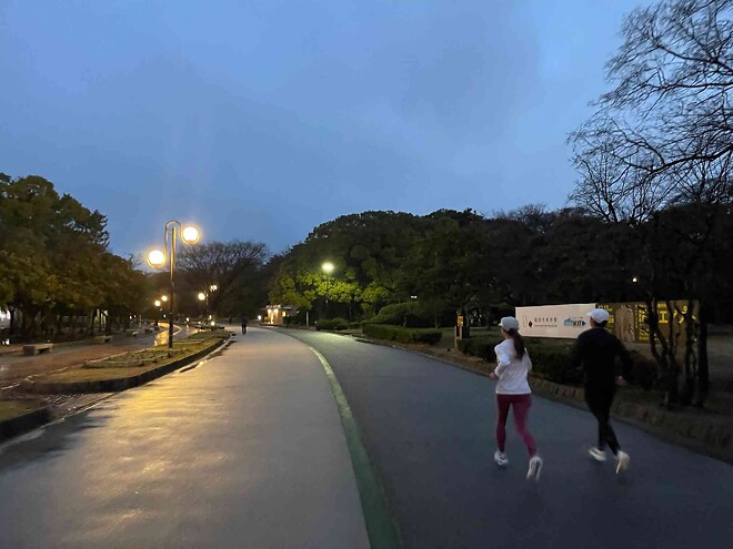 값비싼 오답 노트, 대구 마라톤 참가기 (+후쿠오카 여행 살짝)