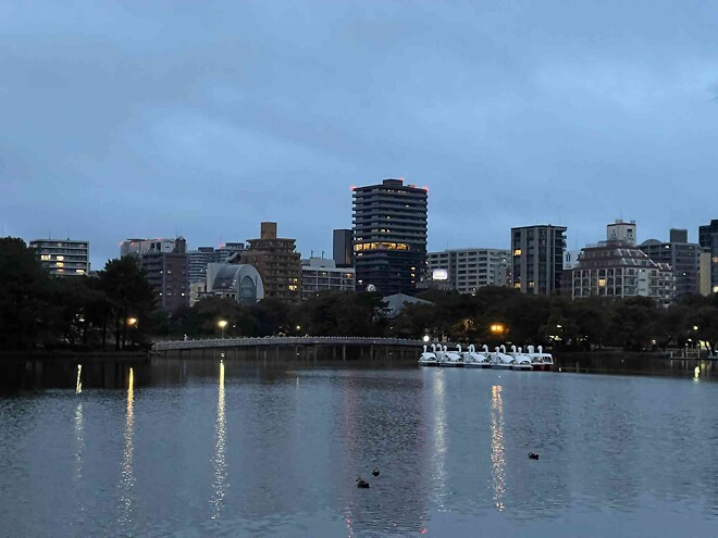 값비싼 오답 노트, 대구 마라톤 참가기 (+후쿠오카 여행 살짝)