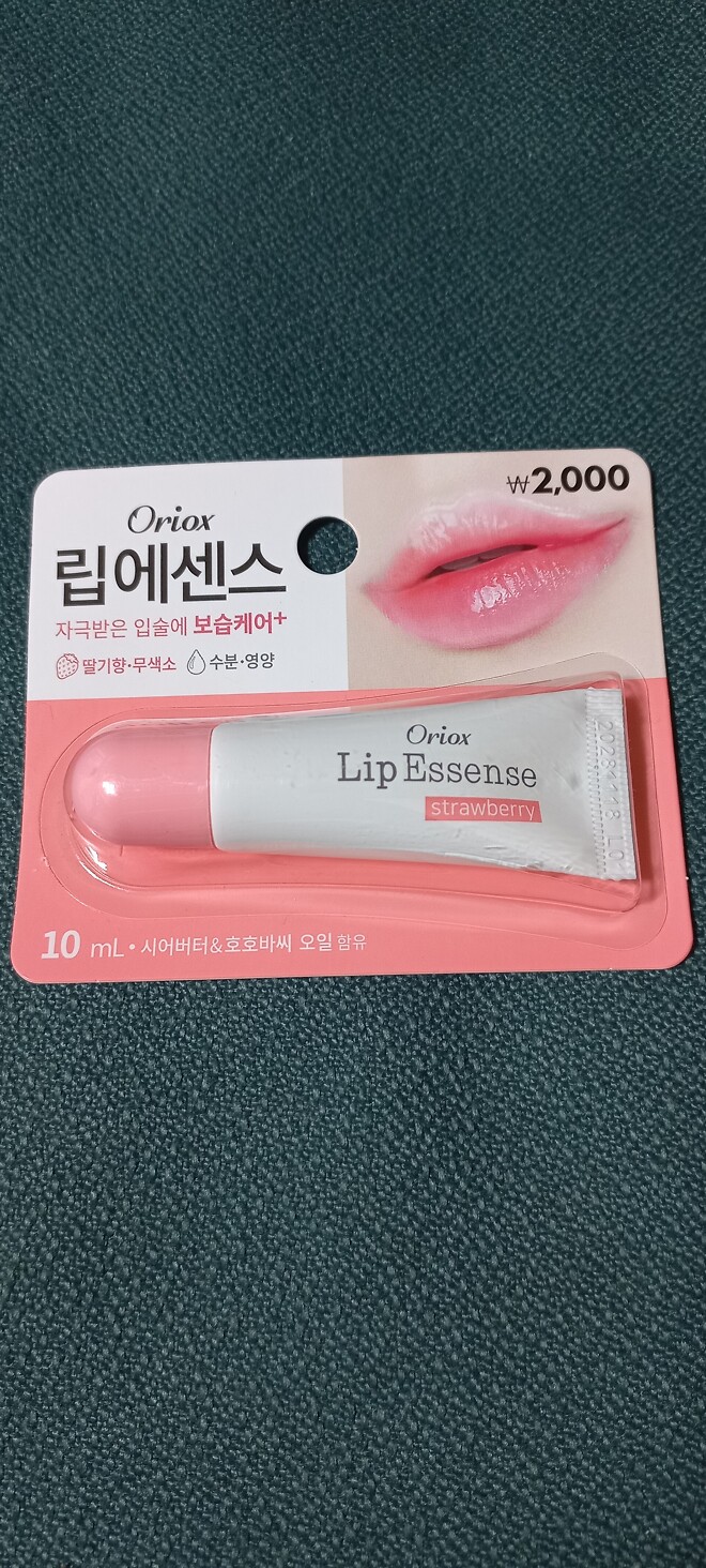 동대문 일요시장 방문기 잡설