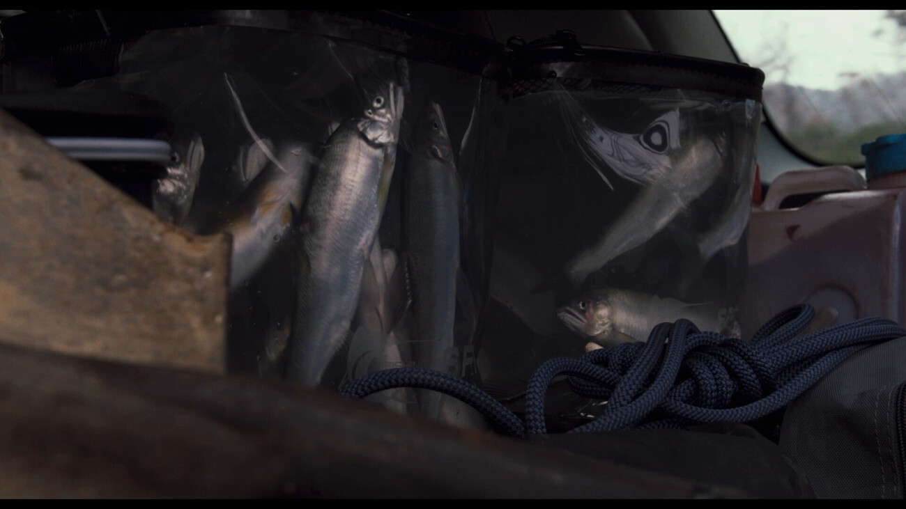 4K 블루레이 리뷰 | 파묘 (2024)