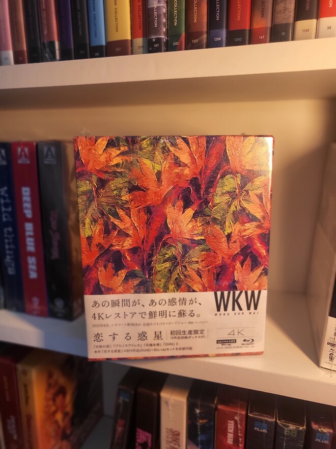 왕가위 4k 박스셋