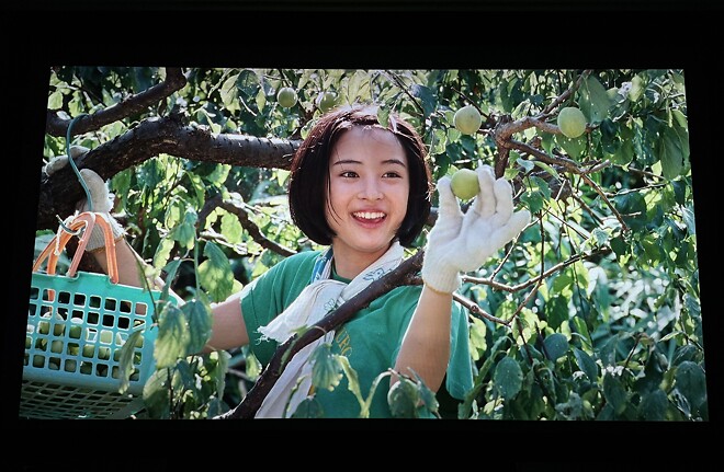 바닷마을 다이어리 4K 다시 봤네요.