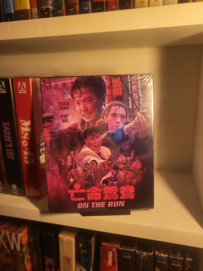 원표 단독주연 영화 모음