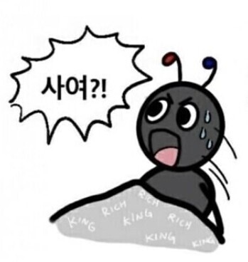 가수 하림의 결혼식 이야기