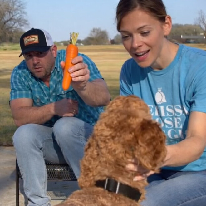 [펌] 당근 중고거래 하다가 결혼해버림