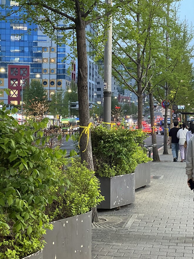 퇴근길, 노란리본들