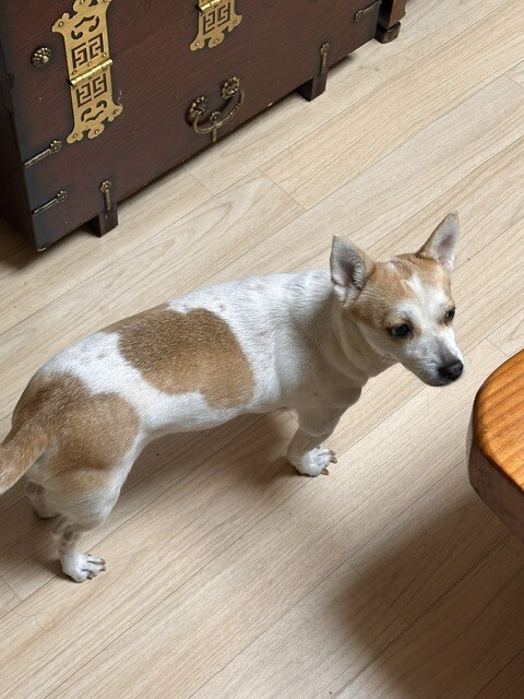 [엌].. 생존 신고 글에 댓글 달아주셔서... 조공.. 짤...입니다.