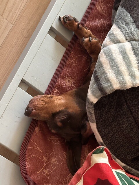 [엌].. 생존 신고 글에 댓글 달아주셔서... 조공.. 짤...입니다.