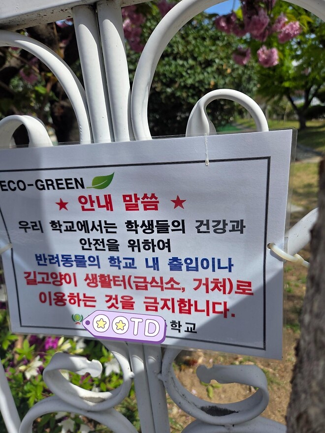 &amp;#039;아이들 놀이터가 고양이 X밭으로&amp;#039;&hellip;학교 오염시킨 &amp;#039;캣맘&amp;#039;에 격분