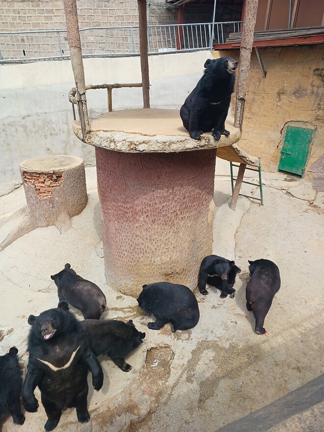 베이징 여행 끝 칭다오로 이동