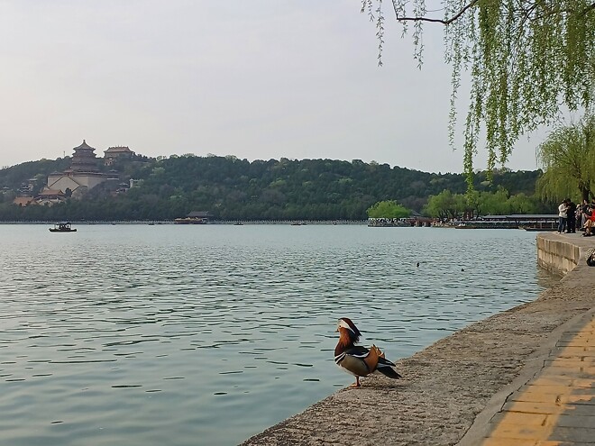 베이징 여행 끝 칭다오로 이동