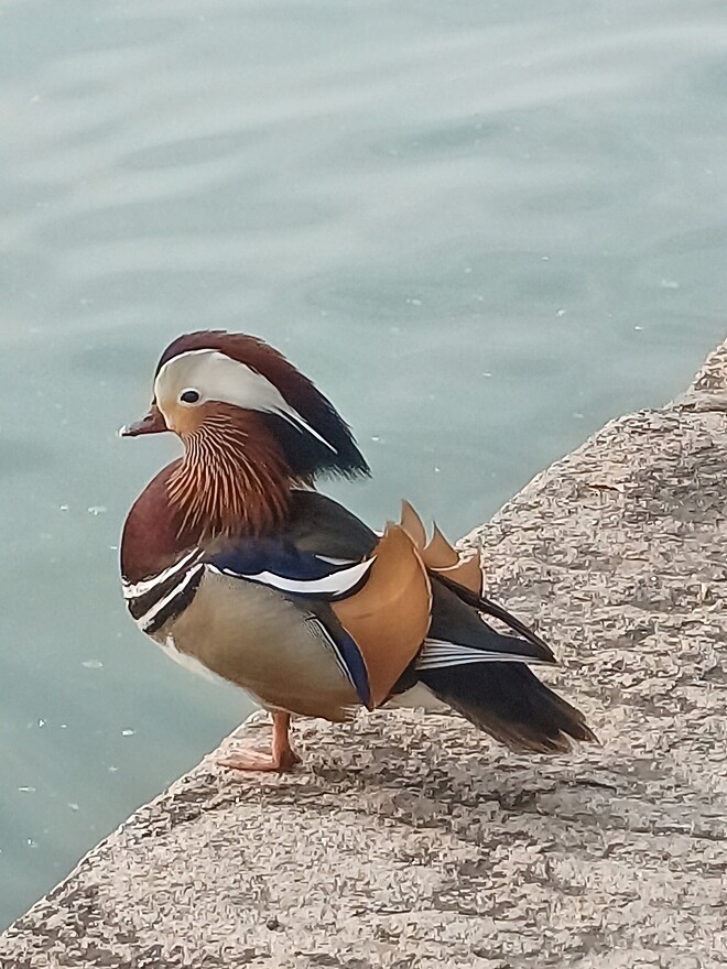 베이징 여행 끝 칭다오로 이동