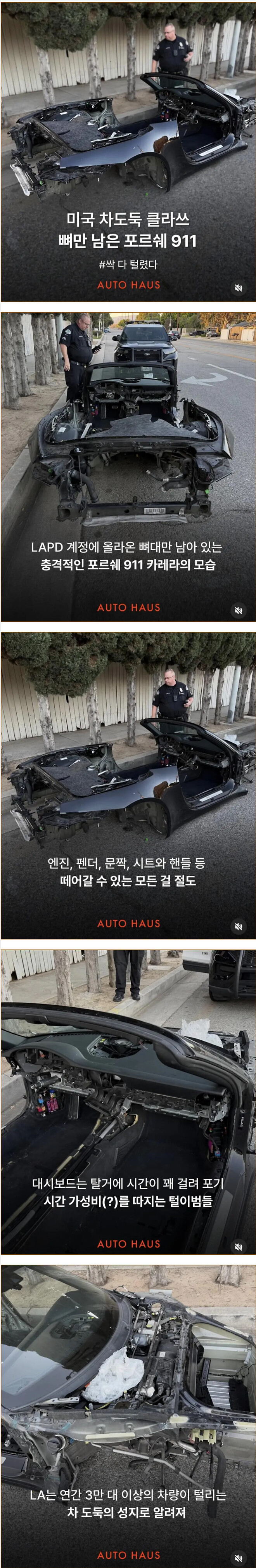 [펌] 미국 차도둑 클라쓰