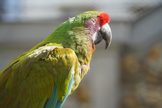 내 차 타고 유럽여행 Ep10. 가끔 아이가 되어도 괜찮아~