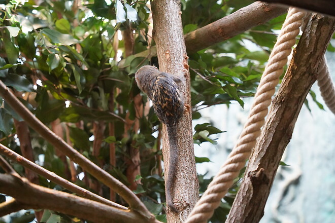 내 차 타고 유럽여행 Ep10. 가끔 아이가 되어도 괜찮아~
