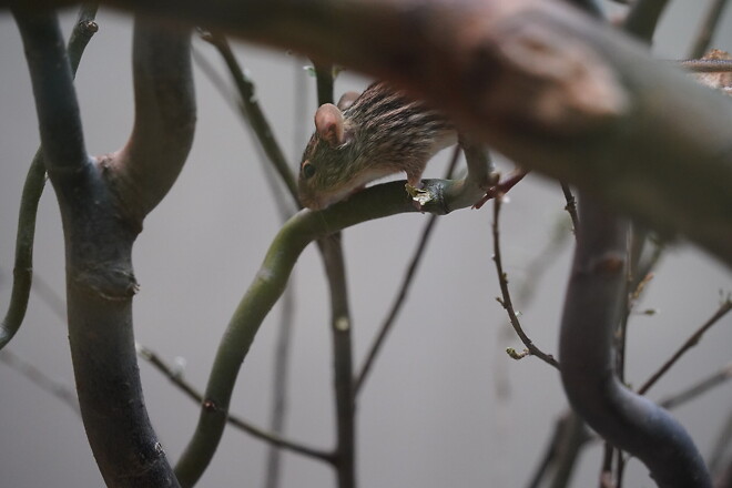내 차 타고 유럽여행 Ep10. 가끔 아이가 되어도 괜찮아~