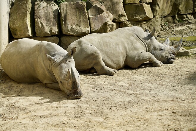내 차 타고 유럽여행 Ep10. 가끔 아이가 되어도 괜찮아~