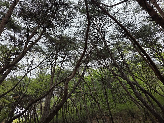 사학과 답사왔습니다