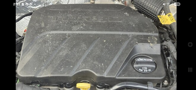 고양이는 차를 긁지 않습니다?