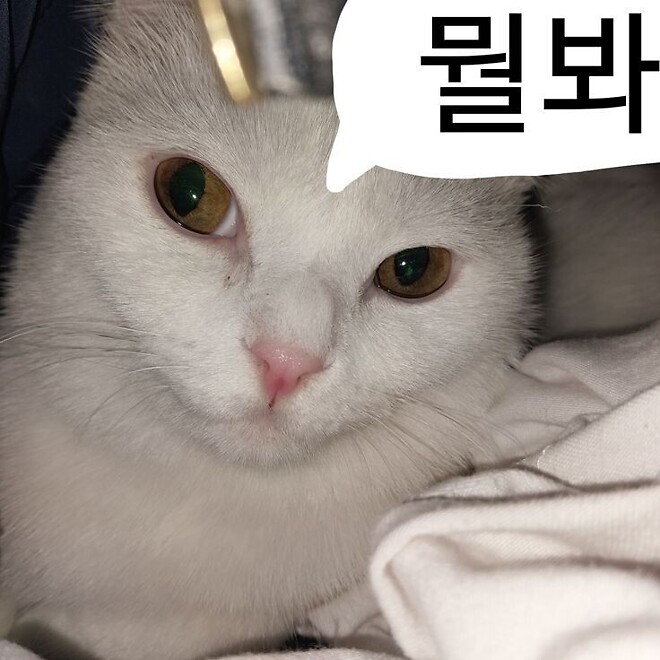 옆에 여자애들이 계속 신발신발 하네요. -_-