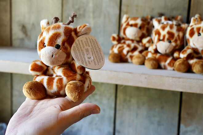 벨기에 앤트워프의 풍경들