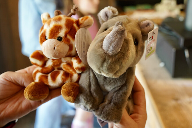 벨기에 앤트워프의 풍경들