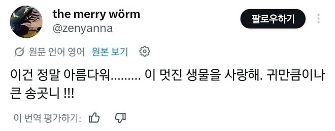 고라니를 처음 본 일본인들 반응