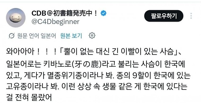 고라니를 처음 본 일본인들 반응