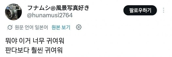 고라니를 처음 본 일본인들 반응